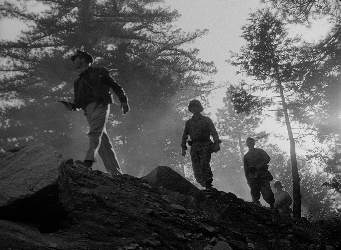 Fear and Desire Movie Essay - 1953 Stanley Kubrick Film