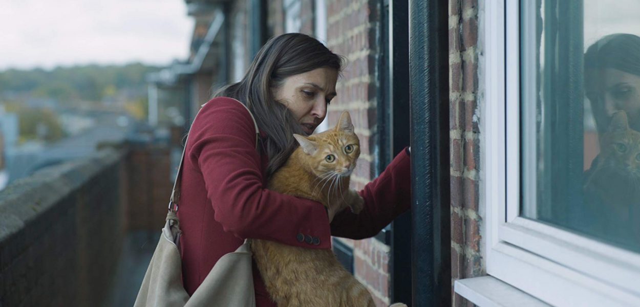 Cat in the Wall Review - 2019 Movie