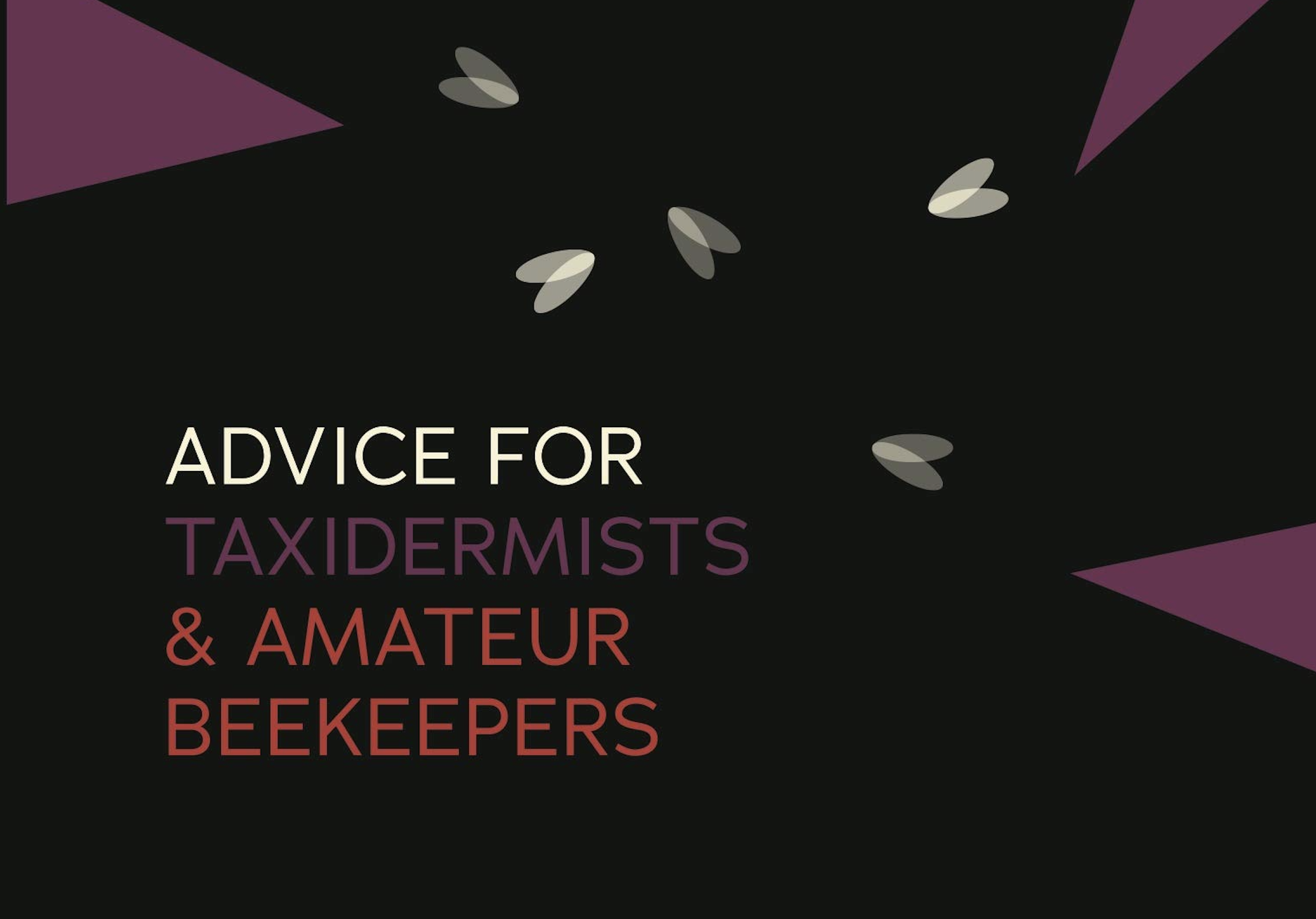 Advice for Taxidermists and Amateur Beekeepers - Book Review