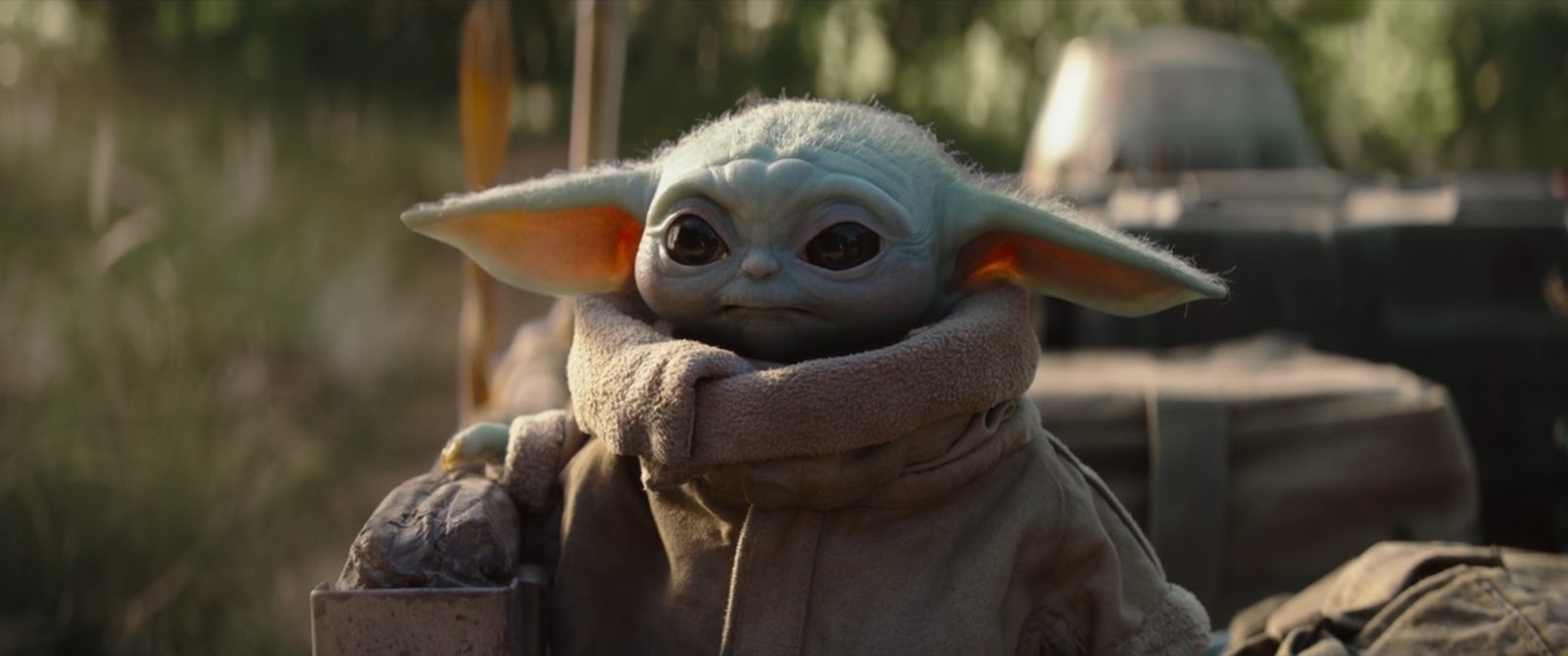 The Baby Yoda in The Mandalorian Season One