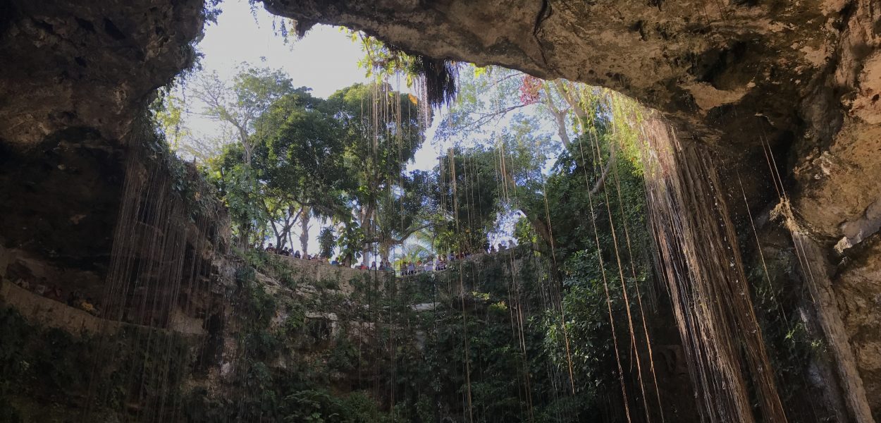Cenote 2019 Documentary Review
