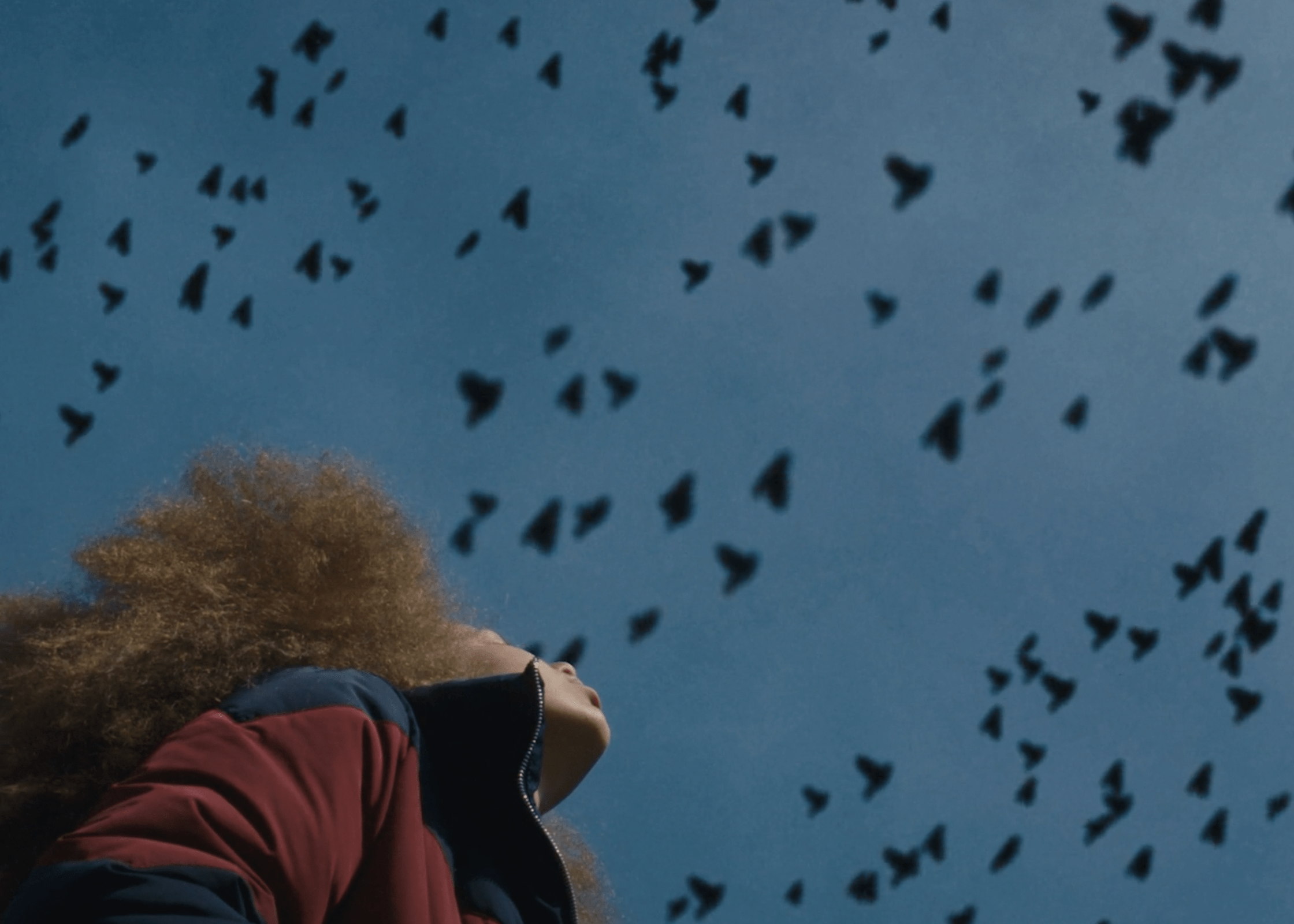 Broken Bird Movie Review - 2020 Rachel Harrison Gordon Short Film